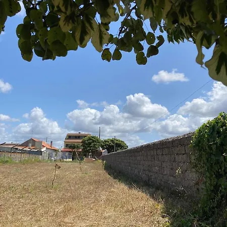 Bed & Breakfast Harmonia Carvide
